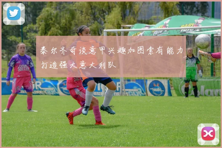 泰尔齐奇谈意甲兴趣加图索有能力打造强大意大利队
